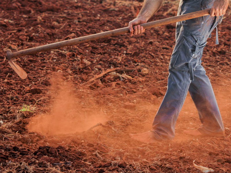 土壤有機(jī)質(zhì)檢測(cè)儀原理（土壤有機(jī)質(zhì)檢測(cè)儀功能及應(yīng)用）